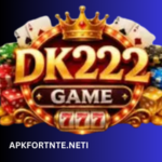 DK222 Game