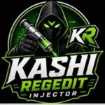 Kashi Regedit Injector
